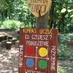 Powiększ zdjęcie wycieczka do lasu odkrywców