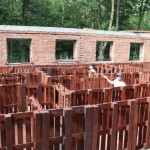 Powiększ zdjęcie wycieczka do lasu odkrywców