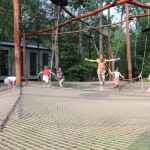 Powiększ zdjęcie wycieczka do lasu odkrywców